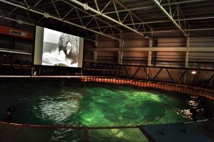 Film being projected on screen above FloWave tank